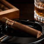 robusto cigar