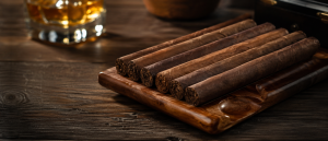 best cigars under $10
